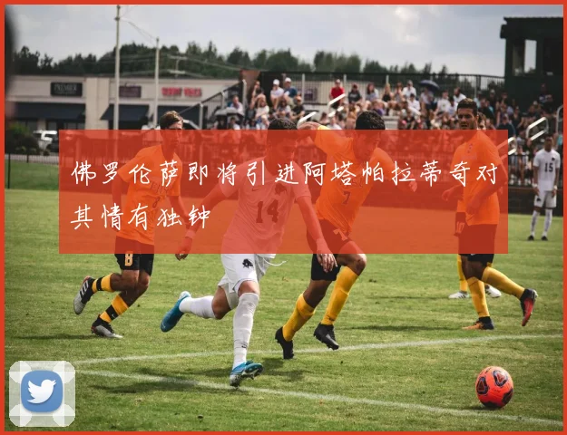 佛罗伦萨即将引进阿塔帕拉蒂奇对其情有独钟